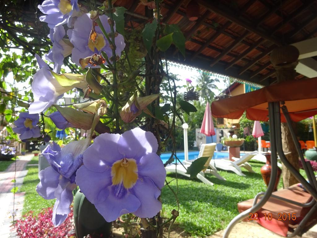 Hilda Guest House Hikkaduwa Εξωτερικό φωτογραφία