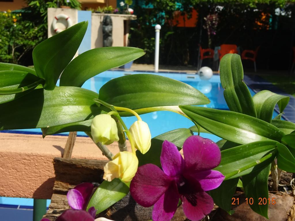 Hilda Guest House Hikkaduwa Εξωτερικό φωτογραφία